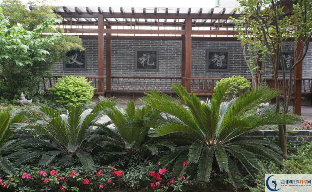 2020成都八中高考重點大學(xué)升學(xué)率是多少？