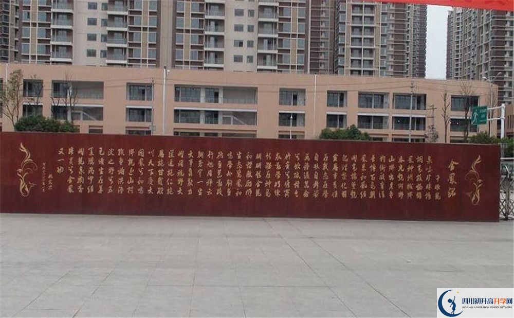 成都經(jīng)濟(jì)技術(shù)開發(fā)區(qū)實驗中學(xué)2020年全國排名是多少？