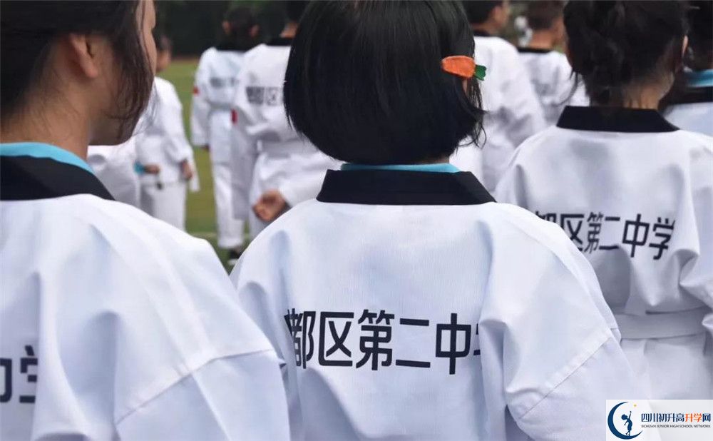 郫縣二中在全國高中排名多少？