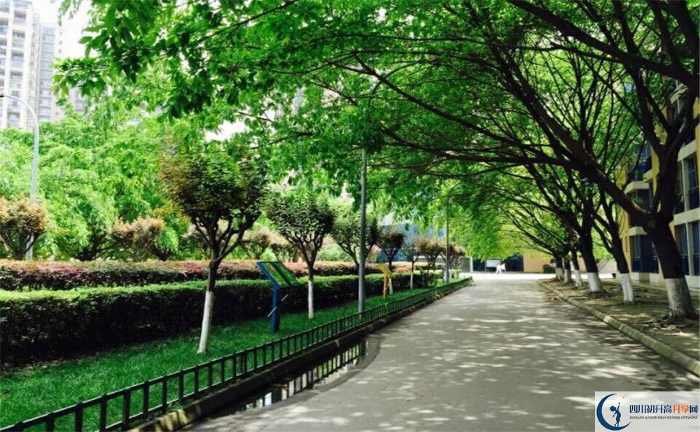 成都七中實(shí)驗(yàn)學(xué)校高2020屆高三階段檢測(cè)試題語(yǔ)文難嗎？
