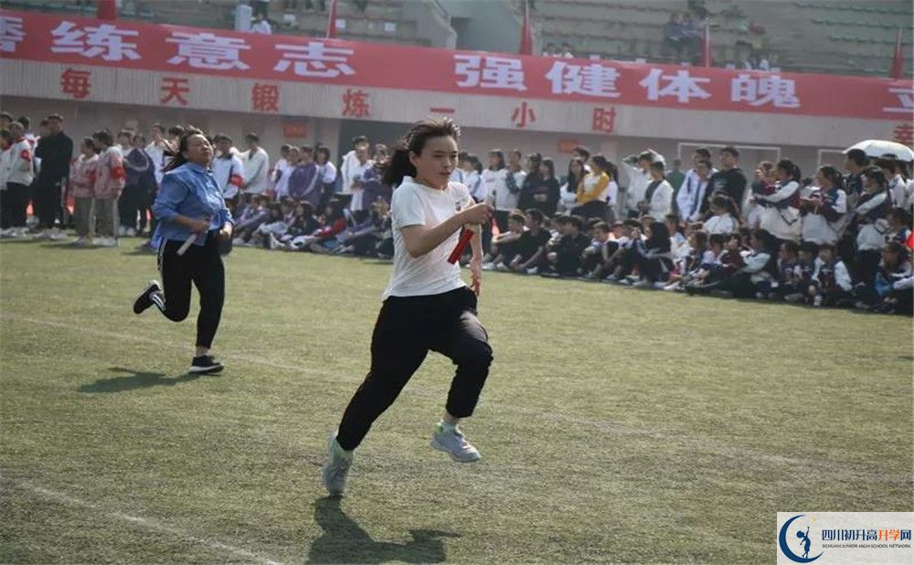 2020香城中學高三英語期末試卷在哪看？