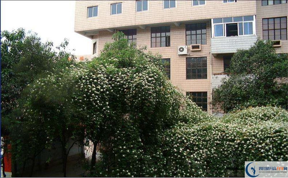 石室聯(lián)合中學(xué)蜀華分校2020屆高三數(shù)學(xué)測(cè)試題在哪看？