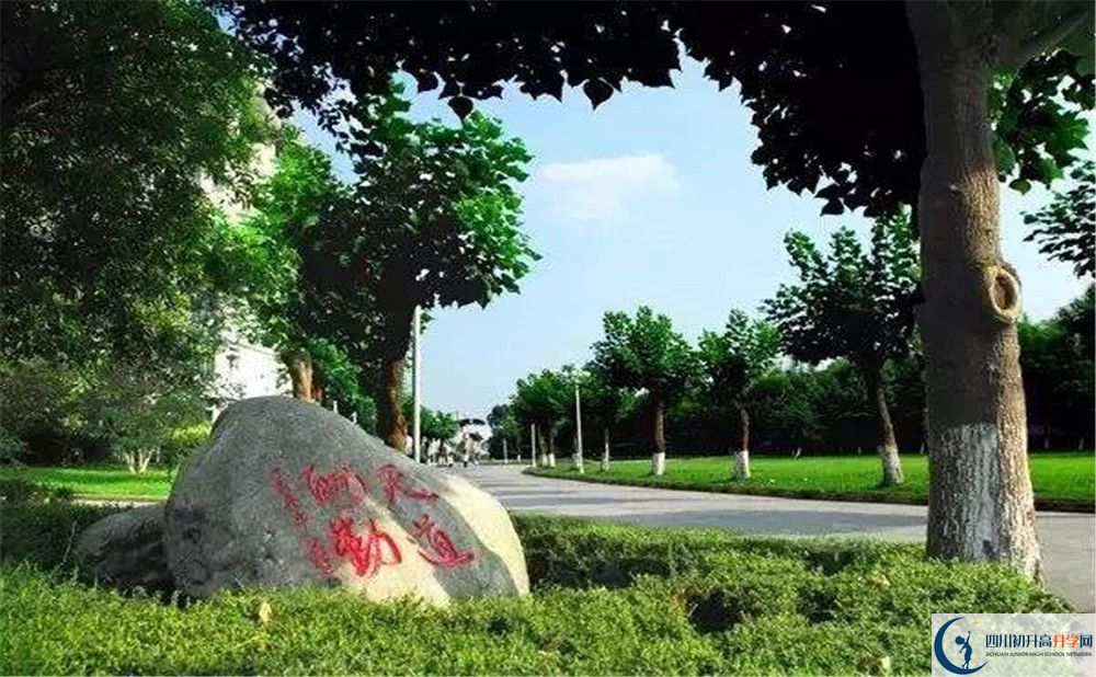 成都樹(shù)德中學(xué)補(bǔ)課嗎？