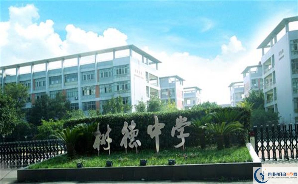 成都樹德中學光華校區(qū)補課嗎？