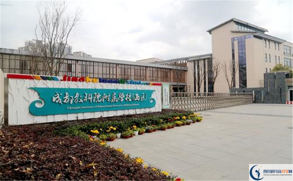 成都教科院附屬學校2020年高考人數(shù)是多少？
