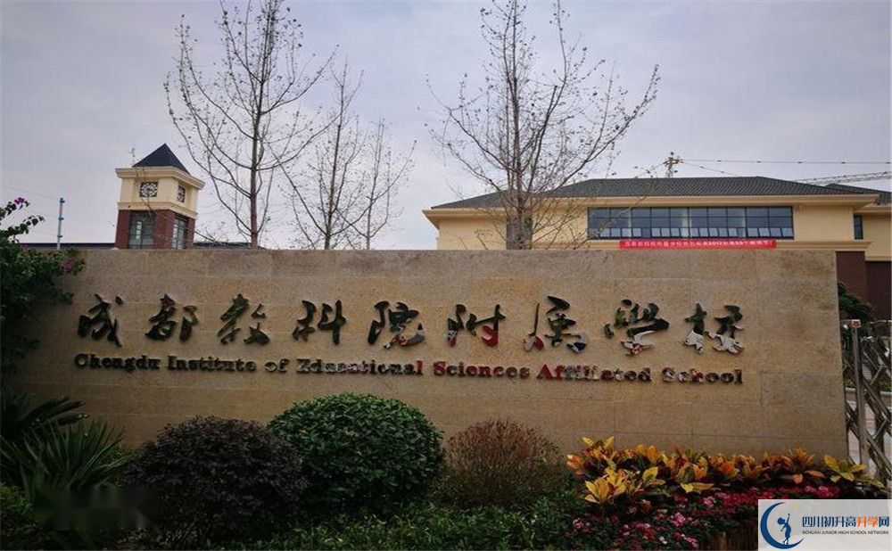 成都教科院附屬學校今年的錄取條件是否有變化？