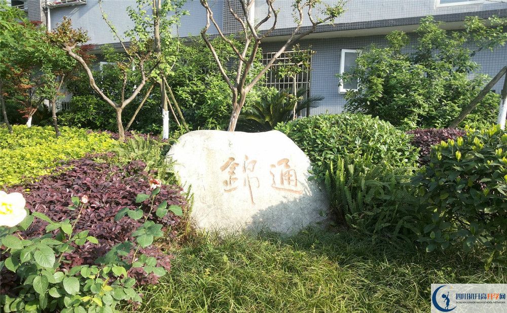2020年通錦中學(xué)自主招生考試時(shí)間是否有調(diào)整？