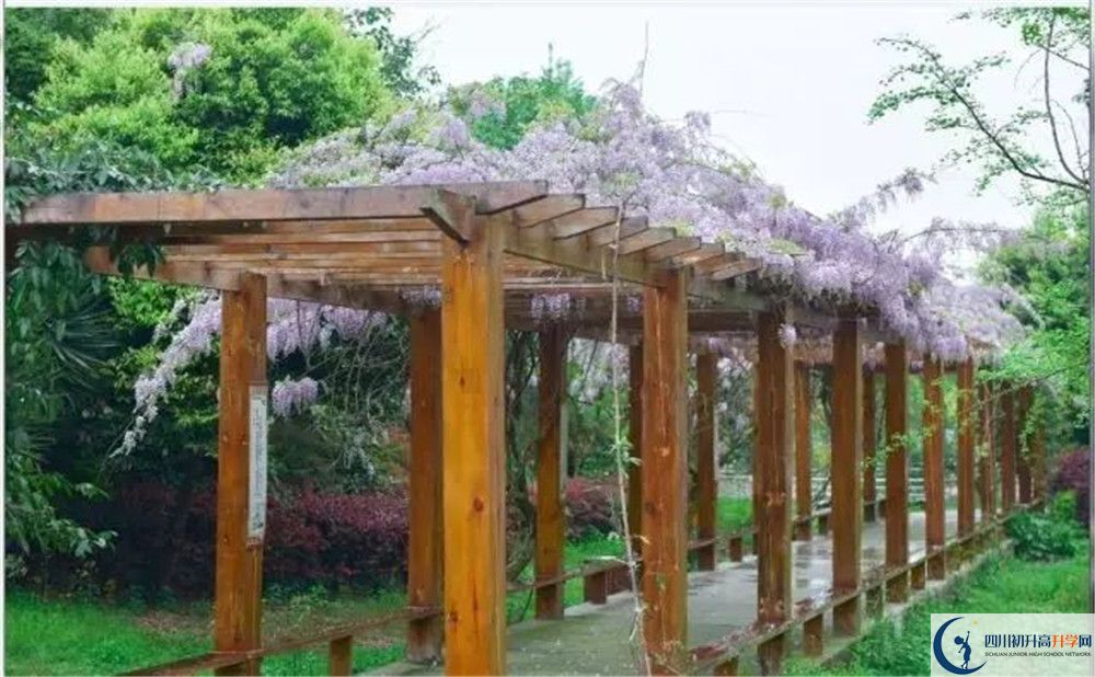 廣安花橋中學(xué)高三診斷考試時(shí)間怎么安排？