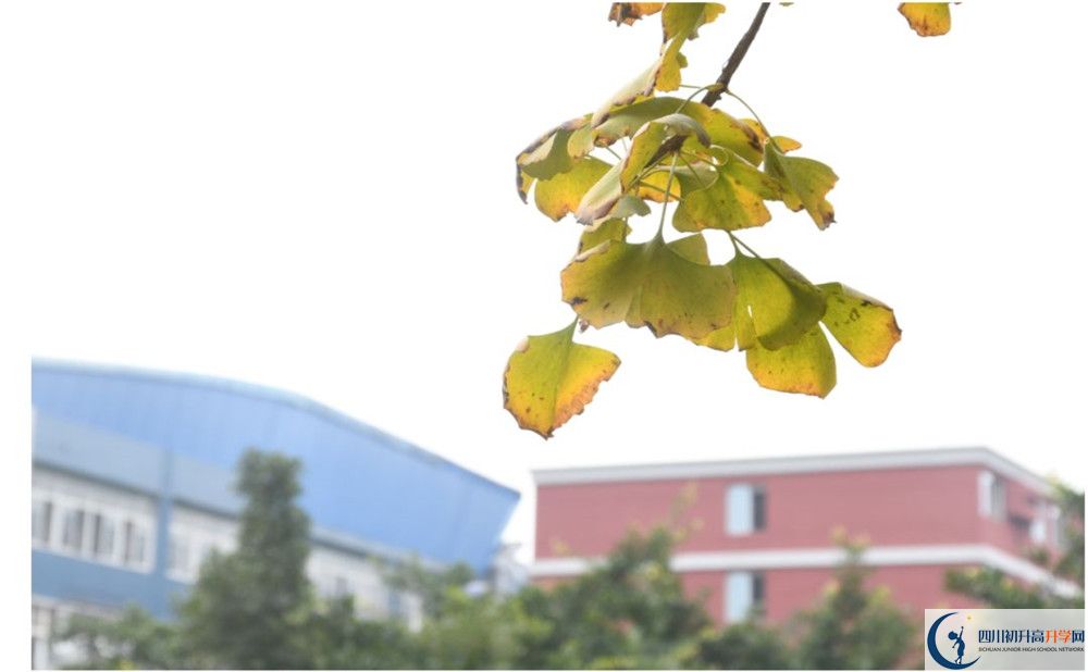 北京師范大學成都實驗中學地址怎么走？