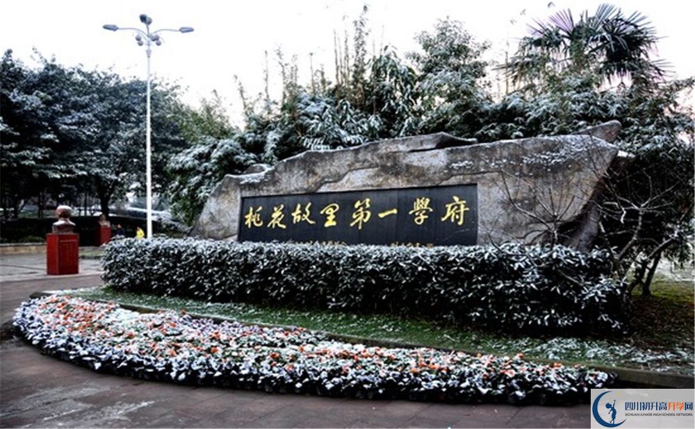 成都龍泉中學2020年招生范圍大不大？