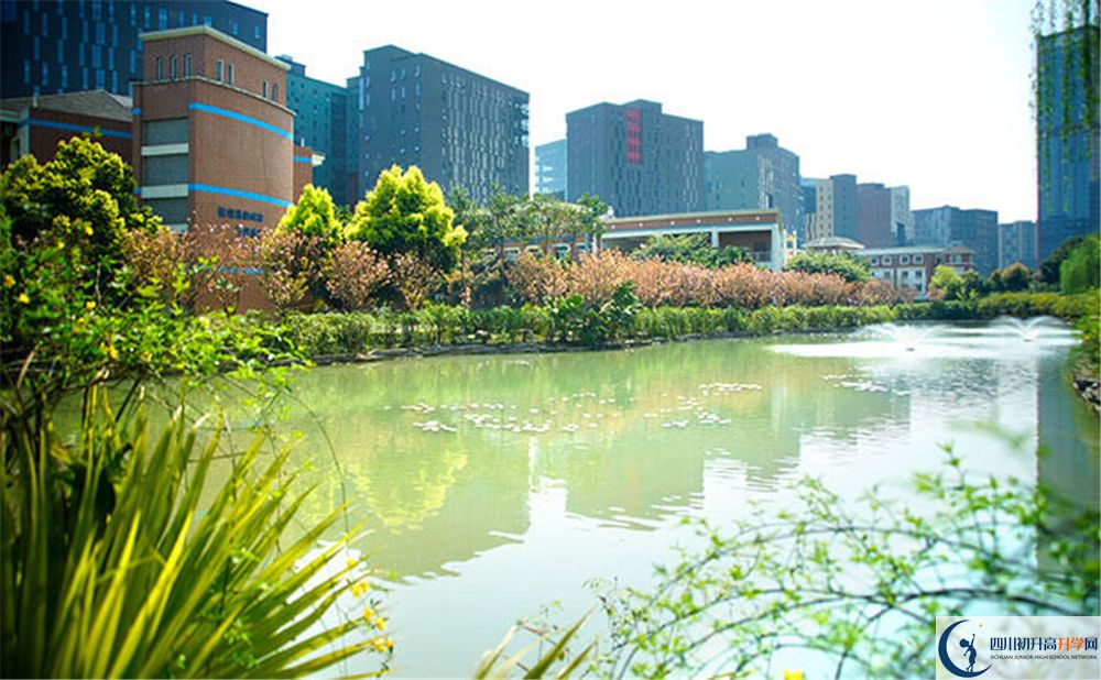 成都美視國際2020年怎么報(bào)名？