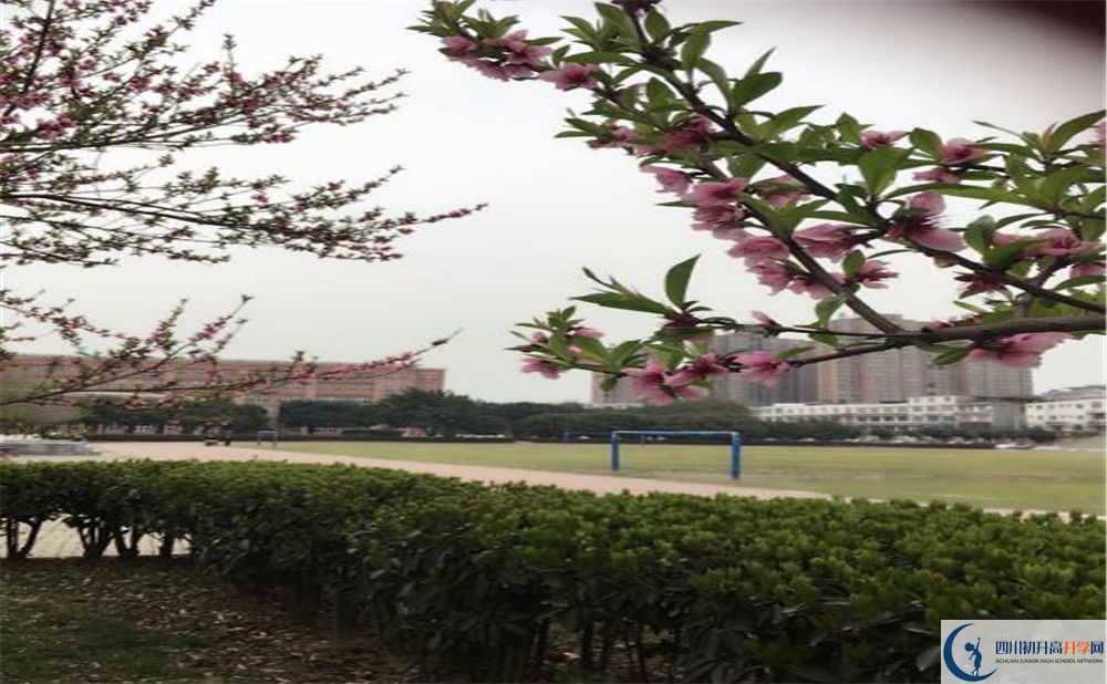 2020年樹德博瑞實驗學校怎么樣？