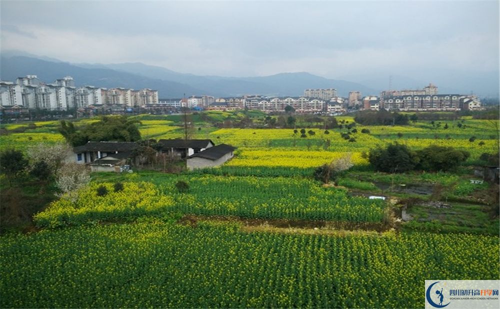 都江堰育才學(xué)校2020年錄取分數(shù)線是多少分？