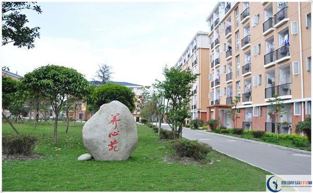 八一聚源高級(jí)中學(xué)2020年怎么樣？