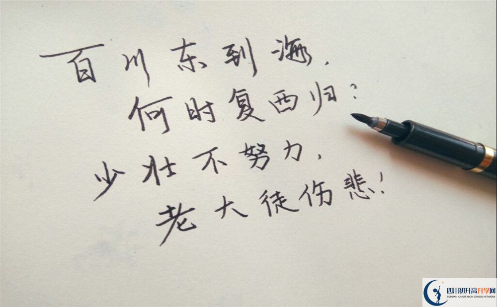 2020年成都市西北中學收費標準是什么？