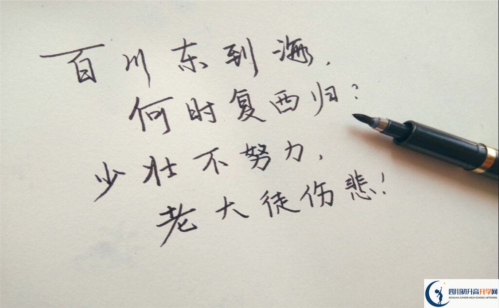 2023年成都市新津區(qū)實驗高級中學招生計劃是什么？